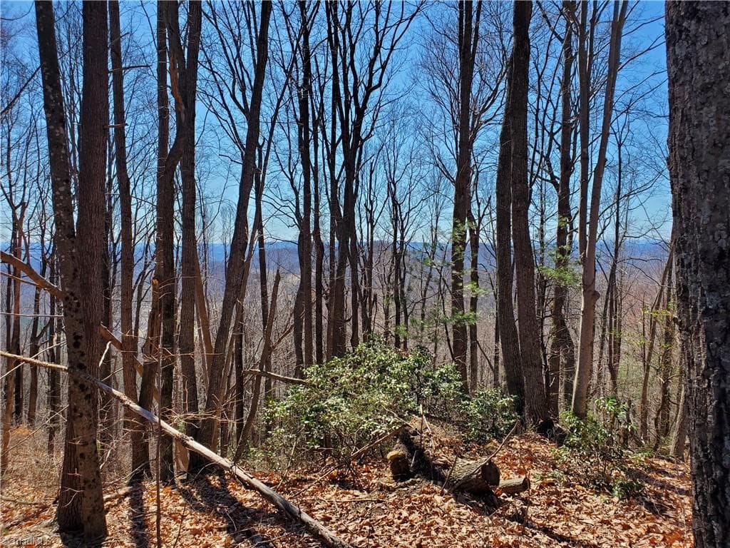Unimproved Land at 8057 NC Highway 16, Moravian Falls NC 28654, photo 7 of 48