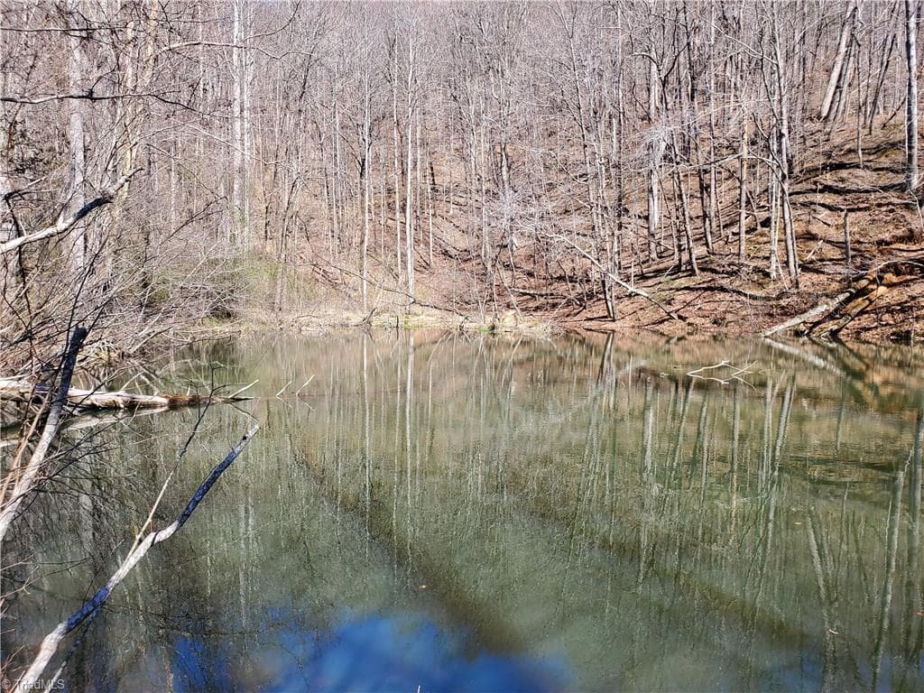 Unimproved Land at 8057 NC Highway 16, Moravian Falls NC 28654, photo 3 of 48