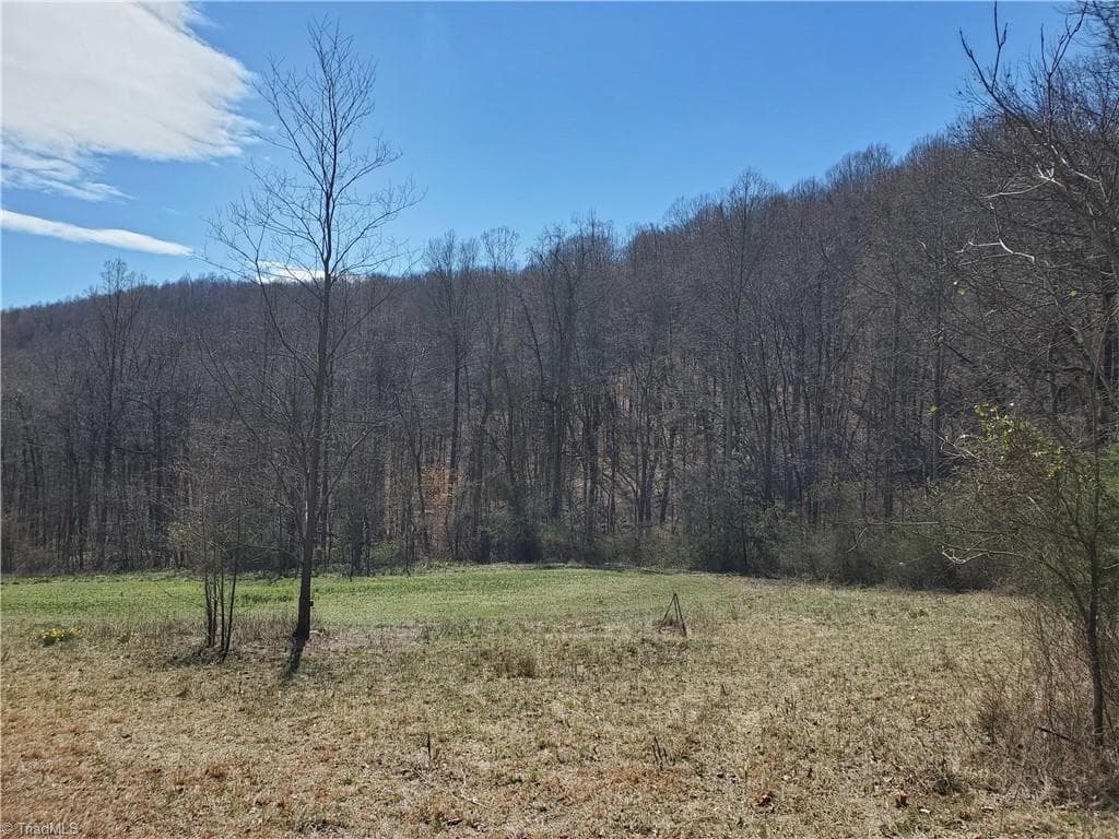 Unimproved Land at 8057 NC Highway 16, Moravian Falls NC 28654, photo 36 of 48