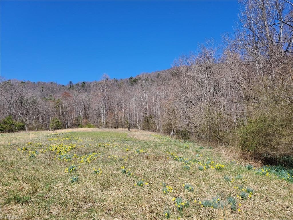 Unimproved Land at 8057 NC Highway 16, Moravian Falls NC 28654, photo 32 of 48