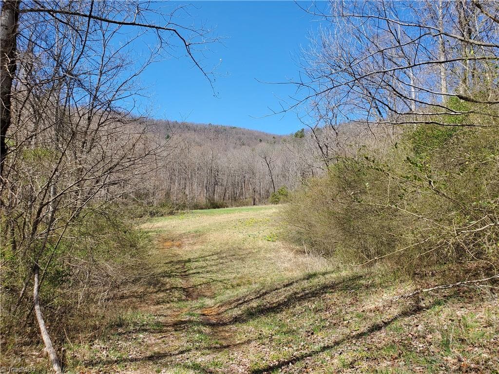 8057 NC Highway 16, Moravian Falls NC 28654