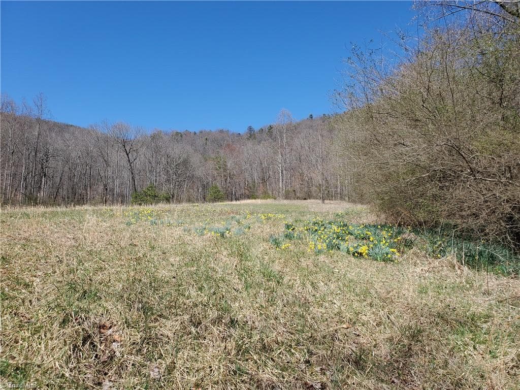 Unimproved Land at 8057 NC Highway 16, Moravian Falls NC 28654, photo 28 of 48