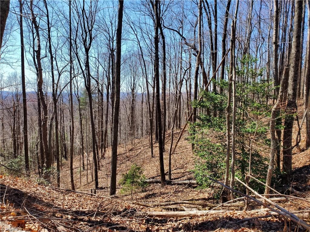 Unimproved Land at 8057 NC Highway 16, Moravian Falls NC 28654, photo 5 of 48