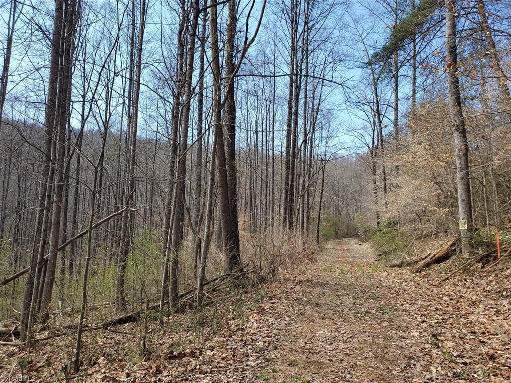 Unimproved Land at 8057 NC Highway 16, Moravian Falls NC 28654, photo 20 of 48