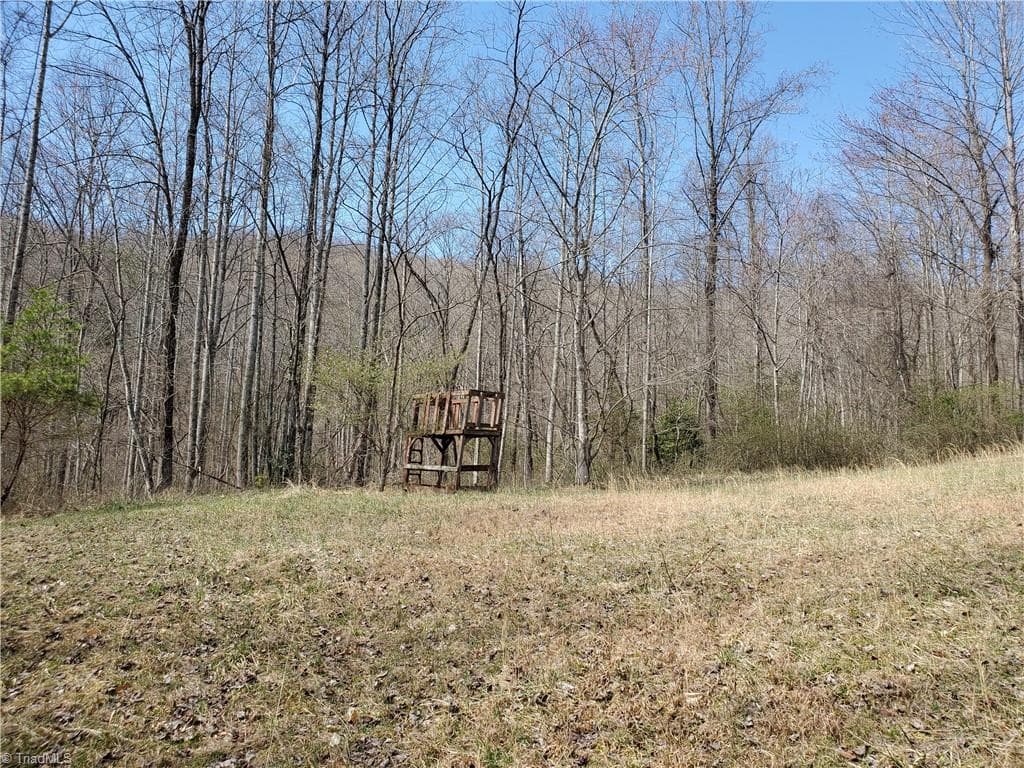 Unimproved Land at 8057 NC Highway 16, Moravian Falls NC 28654, photo 24 of 48