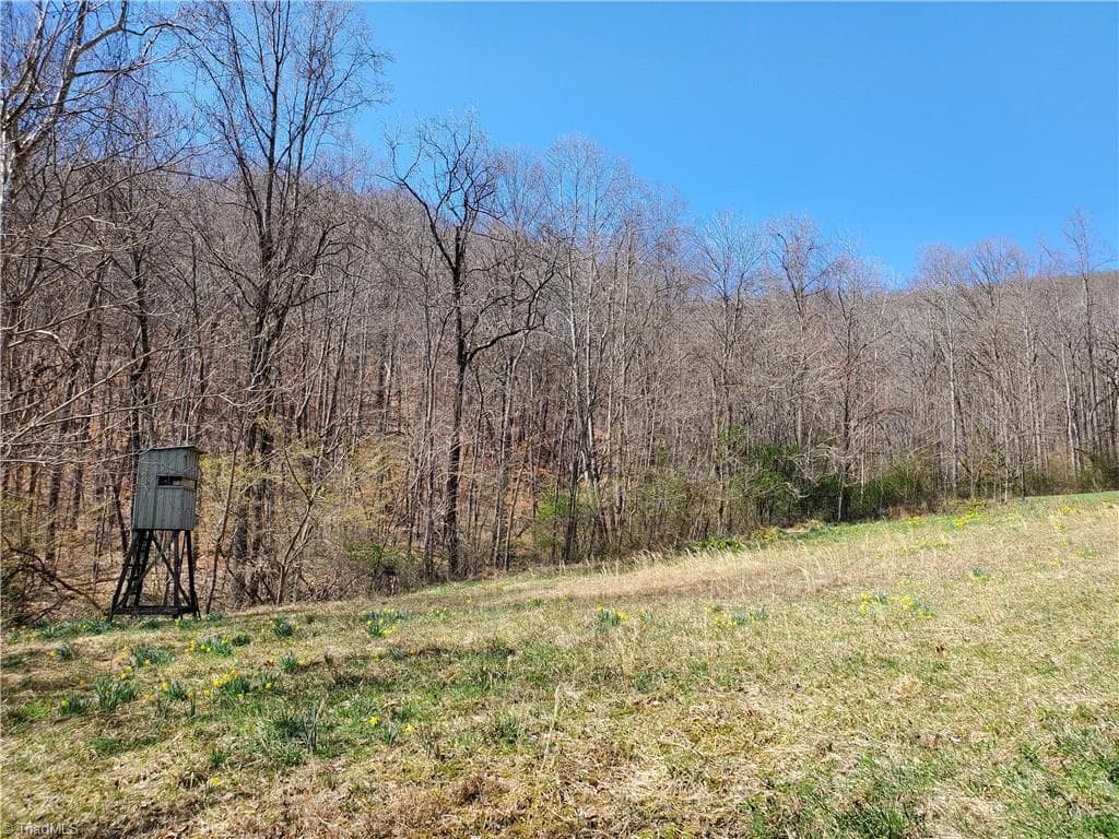 Unimproved Land at 8057 NC Highway 16, Moravian Falls NC 28654, photo 30 of 48