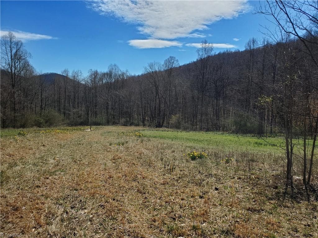 Unimproved Land at 8057 NC Highway 16, Moravian Falls NC 28654, photo 34 of 48