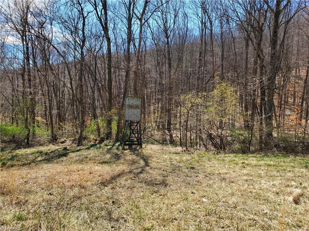 Unimproved Land at 8057 NC Highway 16, Moravian Falls NC 28654, photo 38 of 48