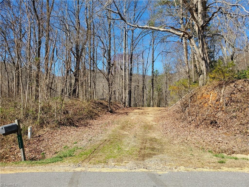 Unimproved Land at 8057 NC Highway 16, Moravian Falls NC 28654, photo 10 of 48