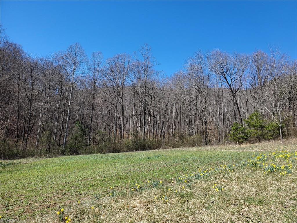 Unimproved Land at 8057 NC Highway 16, Moravian Falls NC 28654, photo 33 of 48