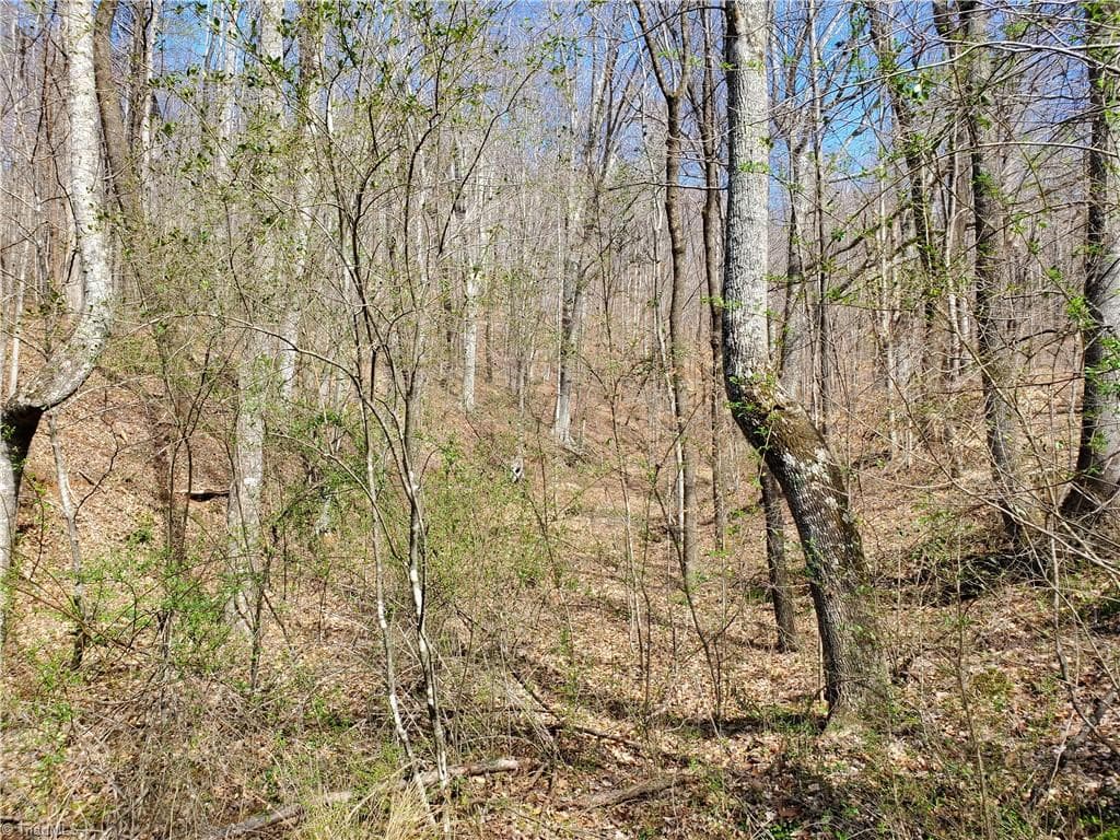 Unimproved Land at 8057 NC Highway 16, Moravian Falls NC 28654, photo 14 of 48