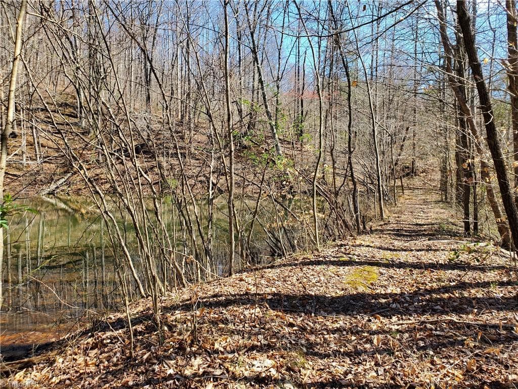 Unimproved Land at 8057 NC Highway 16, Moravian Falls NC 28654, photo 41 of 48