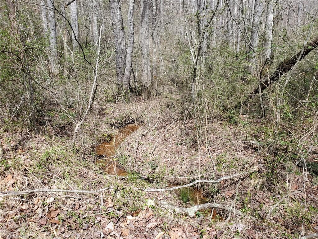 Unimproved Land at 8057 NC Highway 16, Moravian Falls NC 28654, photo 18 of 48
