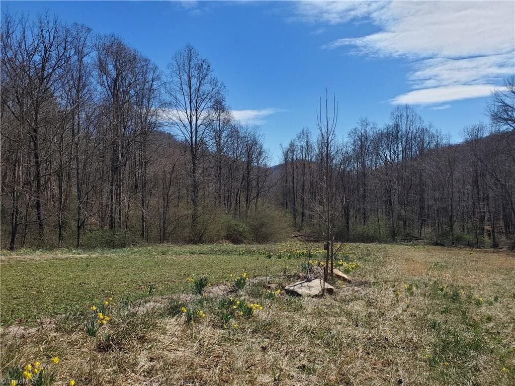 Unimproved Land at 8057 NC Highway 16, Moravian Falls NC 28654, photo 37 of 48