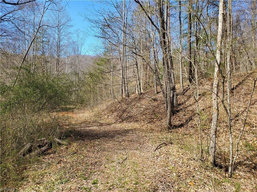 Unimproved Land at 8057 NC Highway 16, Moravian Falls NC 28654, photo 15 of 48