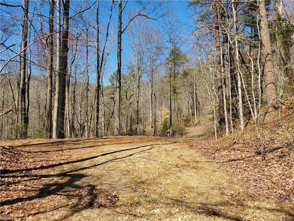 Unimproved Land at 8057 NC Highway 16, Moravian Falls NC 28654, photo 11 of 48