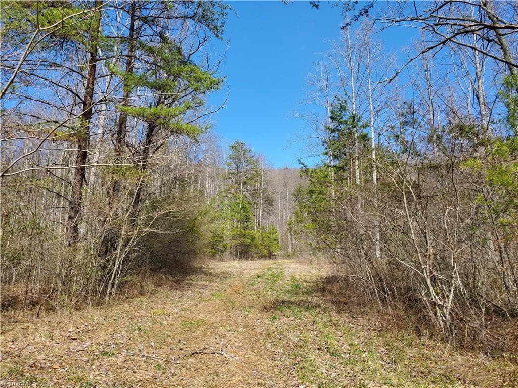 Unimproved Land at 8057 NC Highway 16, Moravian Falls NC 28654, photo 19 of 48