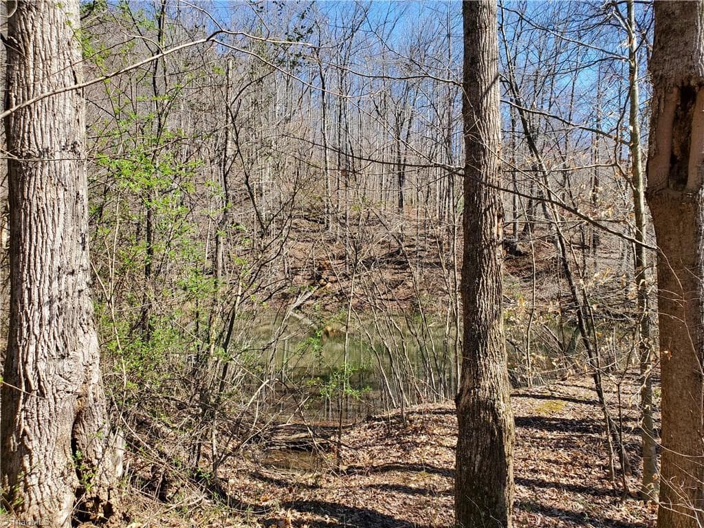 Unimproved Land at 8057 NC Highway 16, Moravian Falls NC 28654, photo 40 of 48