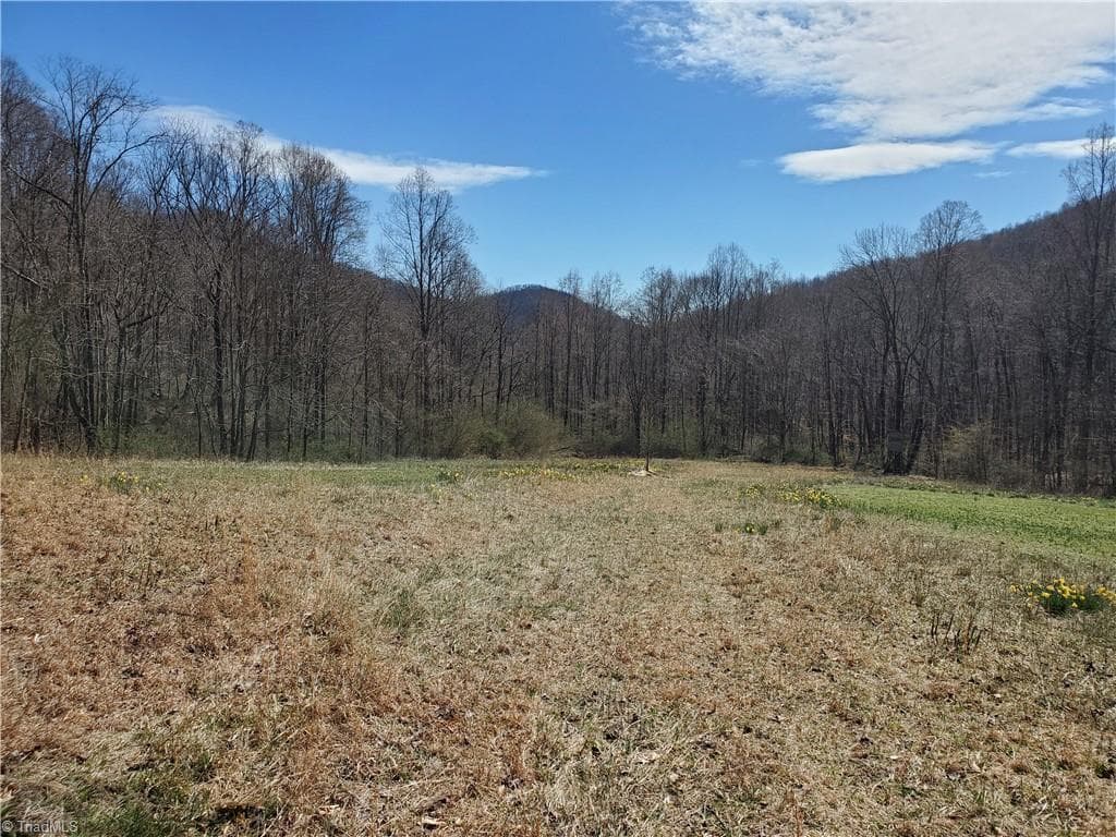 Unimproved Land at 8057 NC Highway 16, Moravian Falls NC 28654, photo 35 of 48