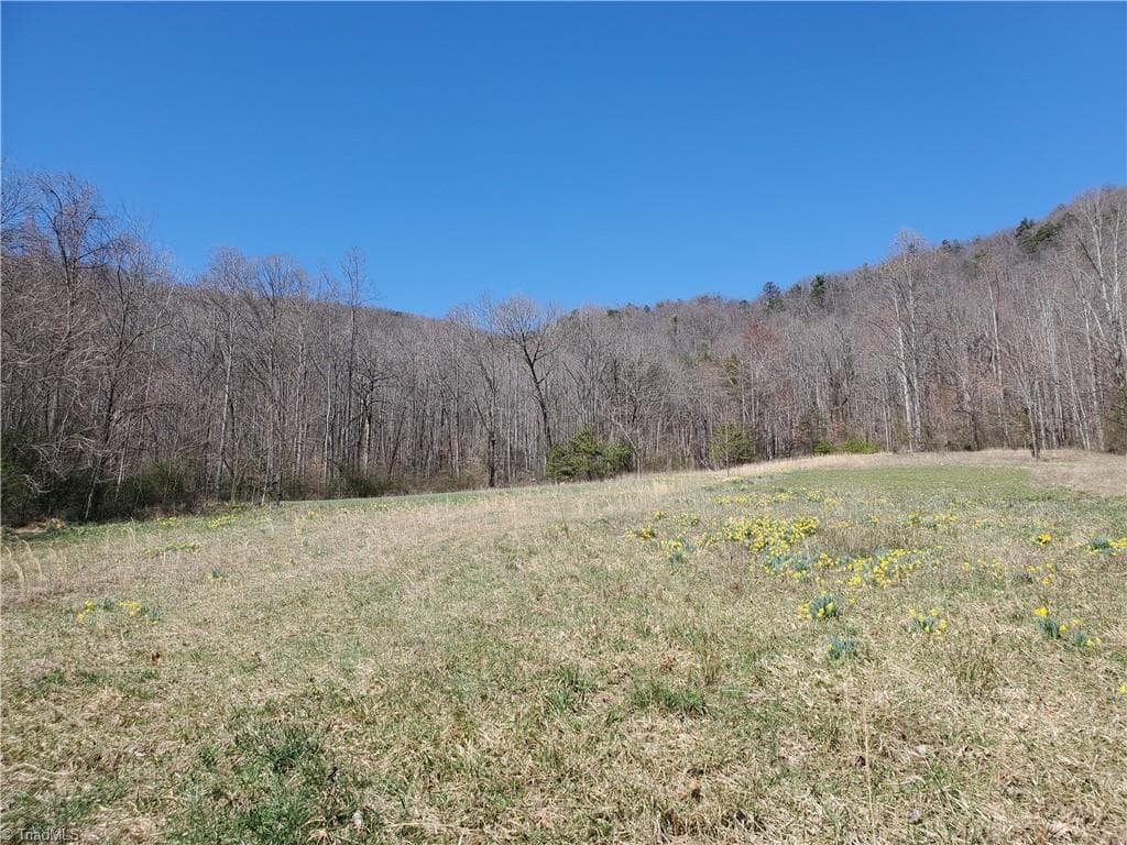 Unimproved Land at 8057 NC Highway 16, Moravian Falls NC 28654, photo 31 of 48