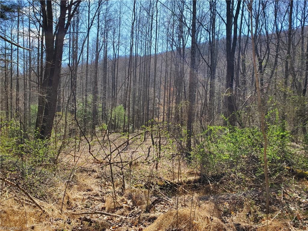 Unimproved Land at 8057 NC Highway 16, Moravian Falls NC 28654, photo 39 of 48