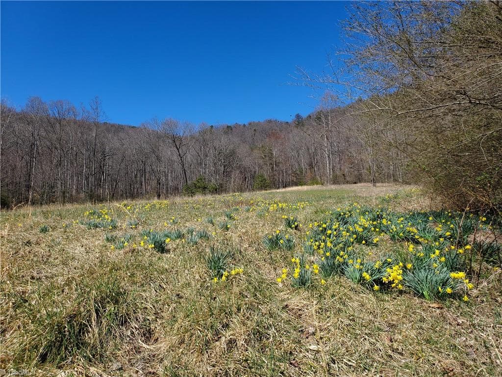 Unimproved Land at 8057 NC Highway 16, Moravian Falls NC 28654, photo 29 of 48