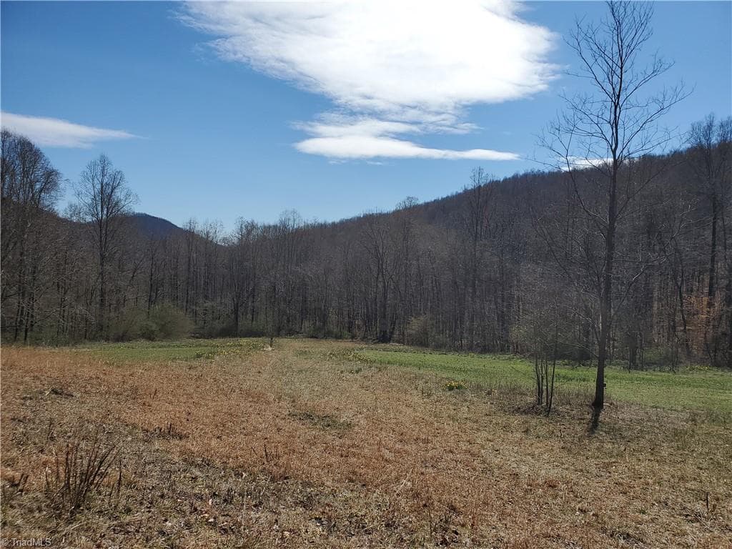Unimproved Land at 8057 NC Highway 16, Moravian Falls NC 28654, photo 4 of 48