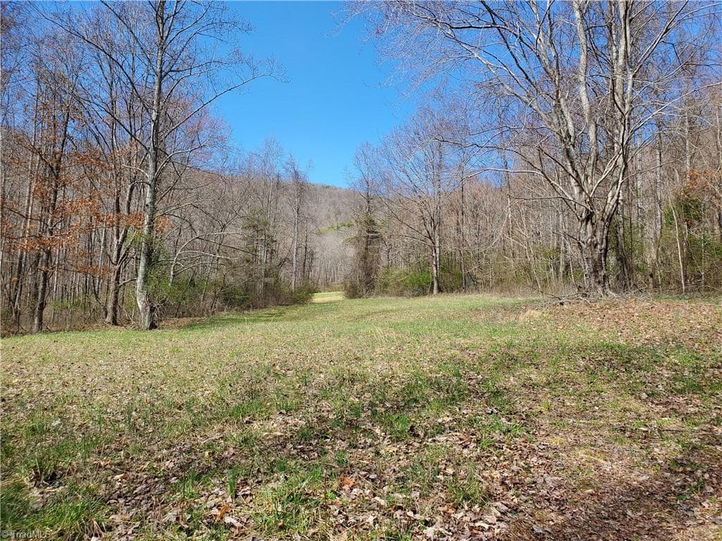 Unimproved Land at 8057 NC Highway 16, Moravian Falls NC 28654, photo 25 of 48