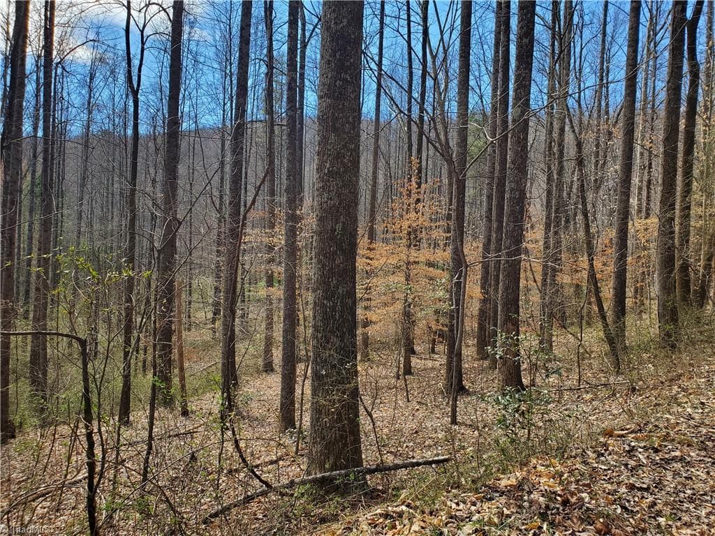 Unimproved Land at 8057 NC Highway 16, Moravian Falls NC 28654, photo 21 of 48