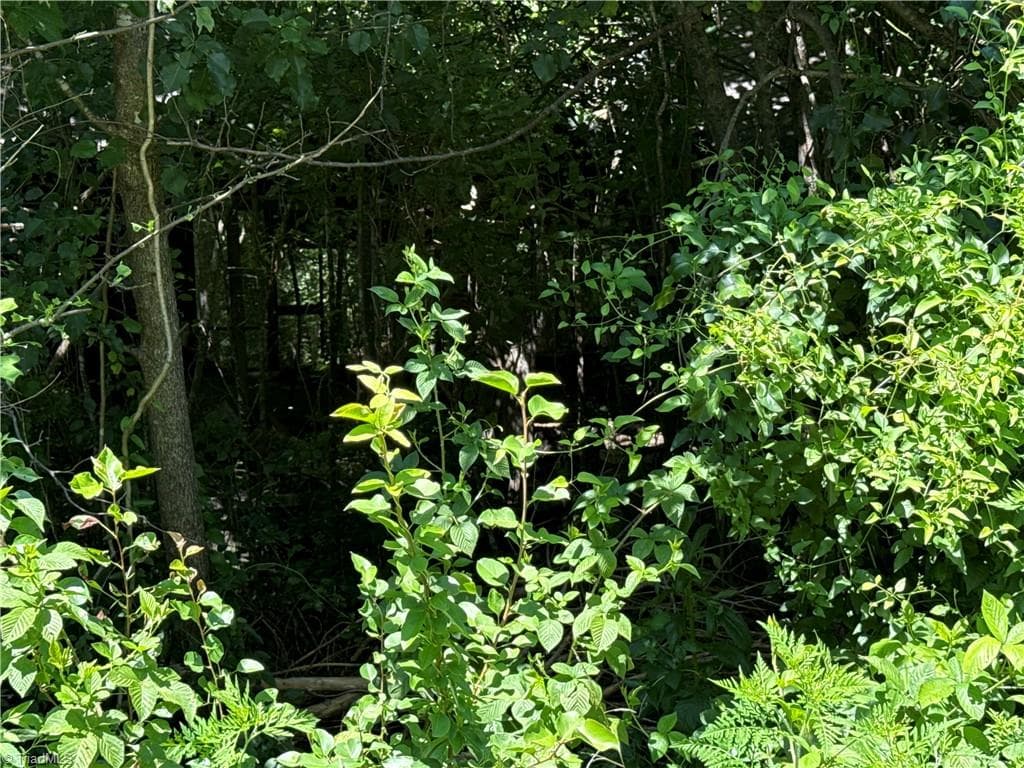Unimproved Land at TBD Worthington Drive, North Wilkesboro NC 28659, photo 2 of 2