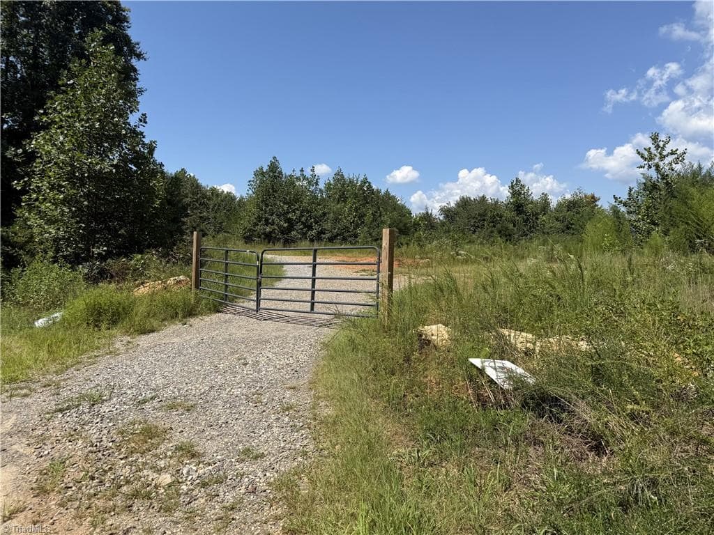 Unimproved Land at Off Bauguess Mill Road, Traphill NC 28685, photo 2 of 26
