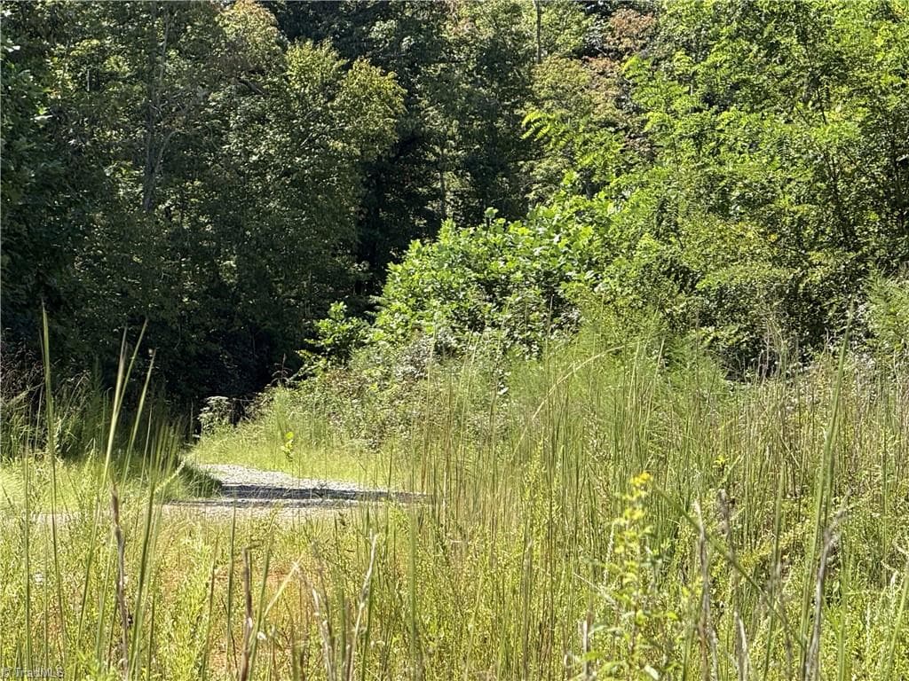 Unimproved Land at Off Bauguess Mill Road, Traphill NC 28685, photo 4 of 26