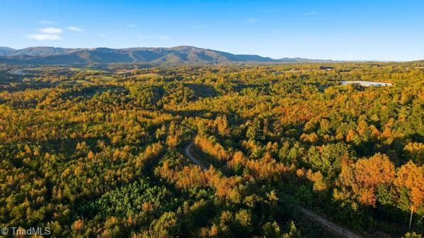 Unimproved Land at Off Bauguess Mill Road, Traphill NC 28685, photo 25 of 26