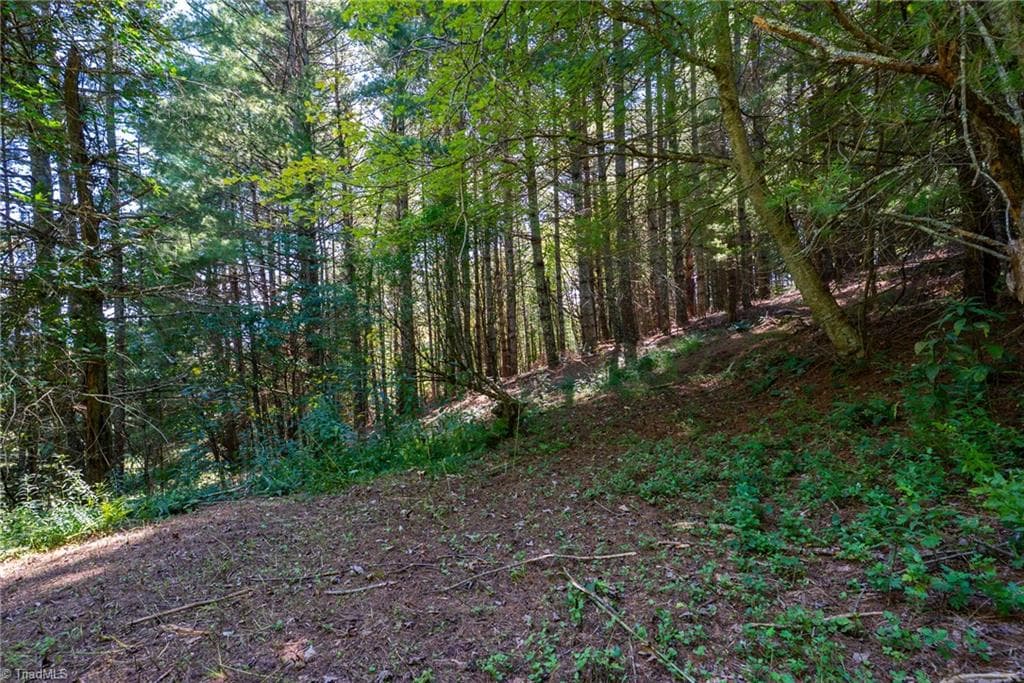 Unimproved Land at 257 Alta Vista Lane, Sparta NC 28675, photo 6 of 22