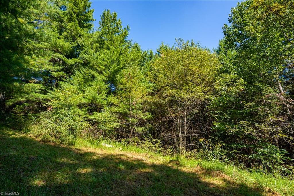 Unimproved Land at 257 Alta Vista Lane, Sparta NC 28675, photo 7 of 22