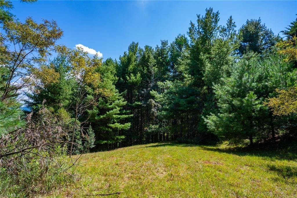 257 Alta Vista Lane, Sparta NC 28675