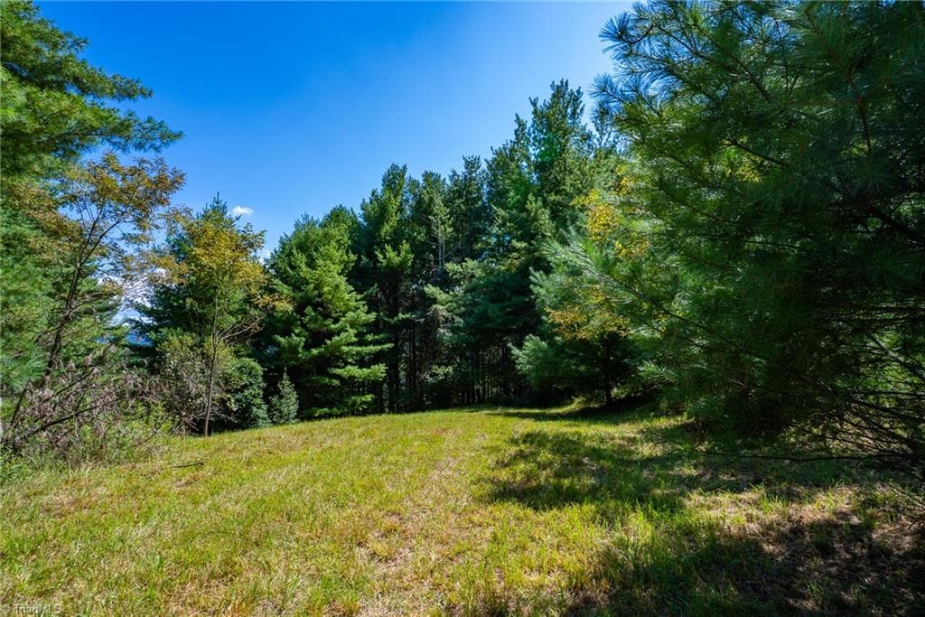 Unimproved Land at 257 Alta Vista Lane, Sparta NC 28675, photo 8 of 22