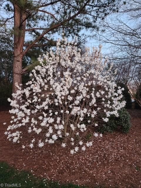 Stick/Site Built at 8390 Grove Creek Drive, Lewisville NC 27023, Lewisville, photo 95 of 100