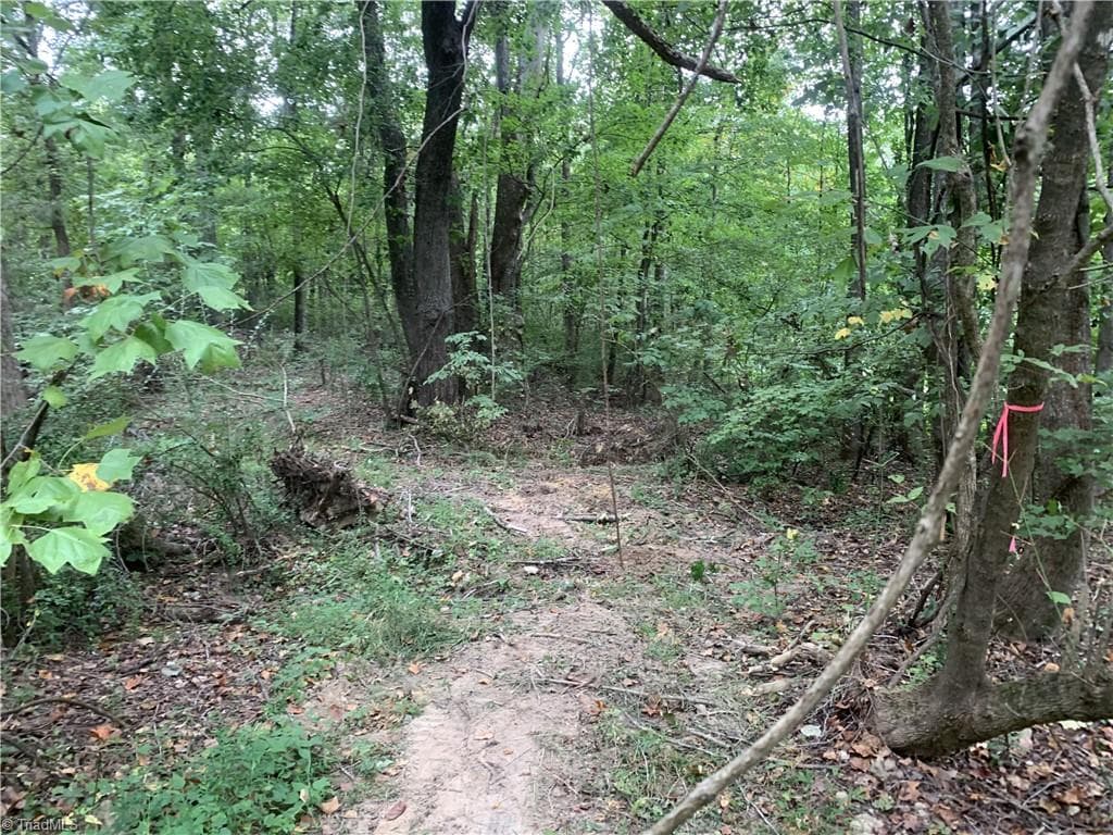 Unimproved Land at 2092 W Lexington Avenue, High Point NC 27262, High Point, photo 25 of 28