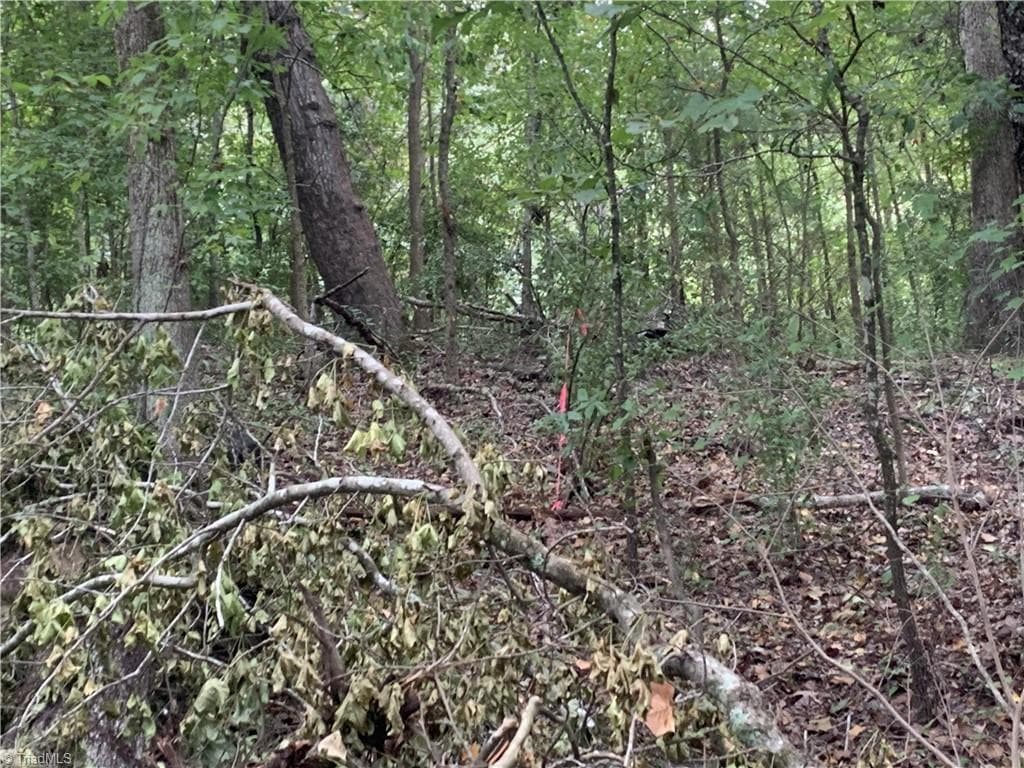 Unimproved Land at 2092 W Lexington Avenue, High Point NC 27262, High Point, photo 13 of 28