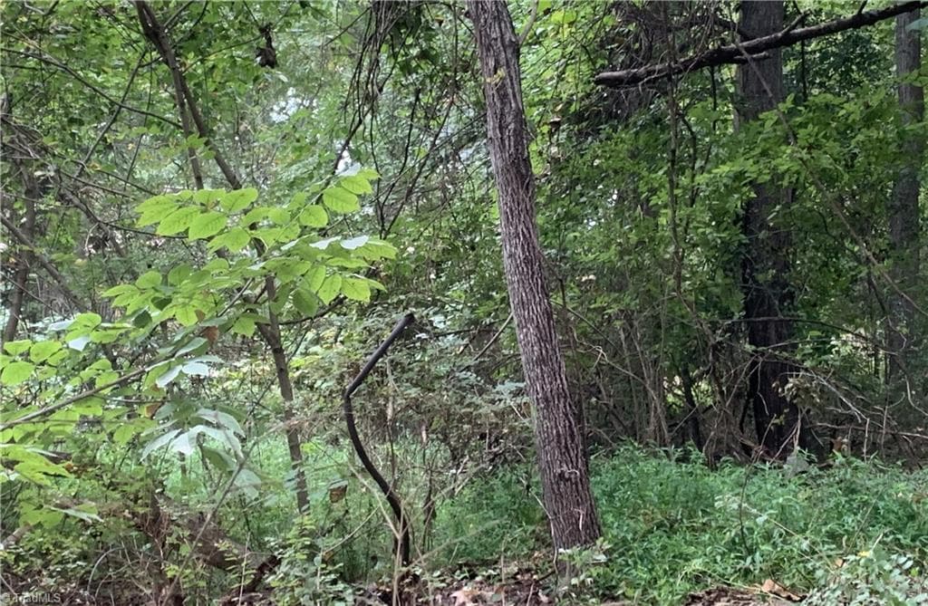 Unimproved Land at 2092 W Lexington Avenue, High Point NC 27262, High Point, photo 15 of 28
