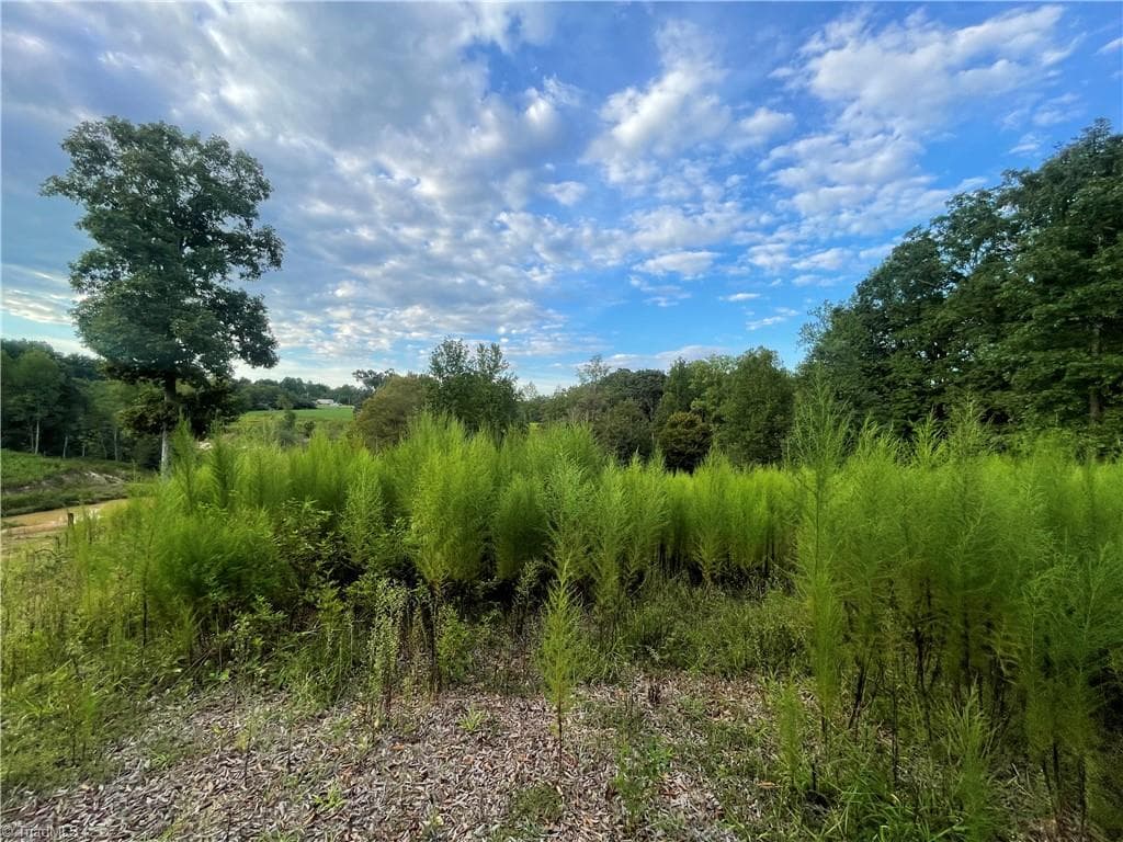 Remarks at 325 Ellas Lane, Roaring River NC 28669, Roaring River, photo 51 of 56