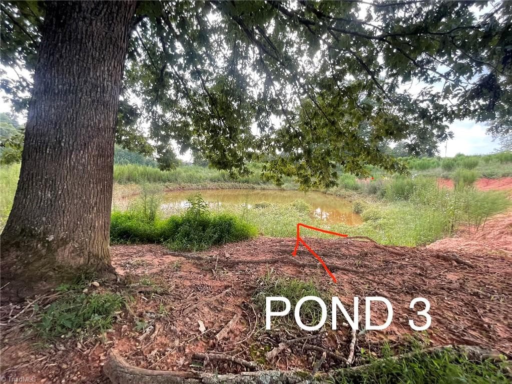 Pond 3 - 325 Ellas Lane, Roaring River NC 28669, Roaring River