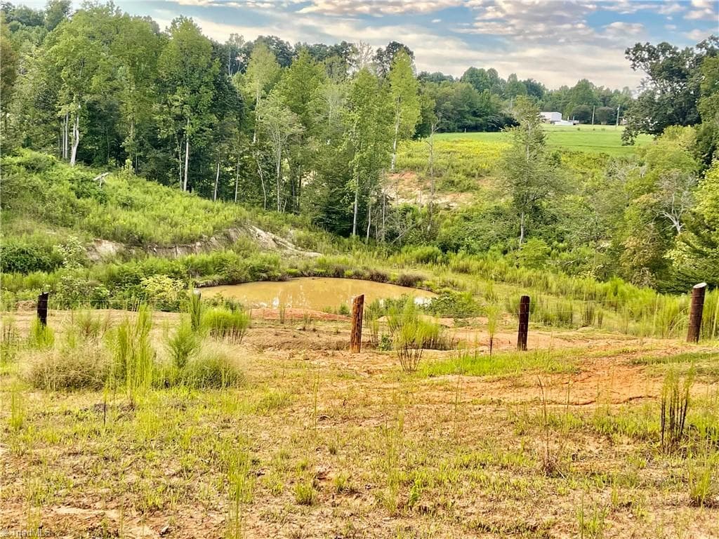 Remarks at 325 Ellas Lane, Roaring River NC 28669, Roaring River, photo 5 of 56