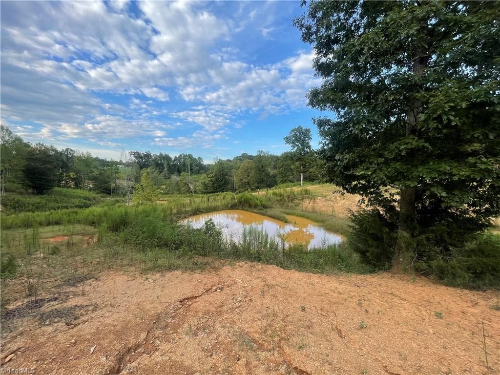Remarks at 325 Ellas Lane, Roaring River NC 28669, Roaring River, photo 9 of 56
