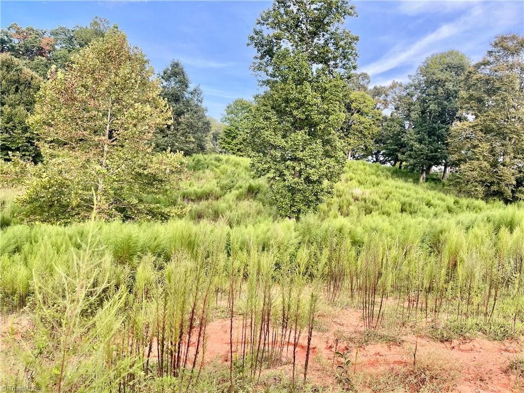 Remarks at 325 Ellas Lane, Roaring River NC 28669, Roaring River, photo 47 of 56