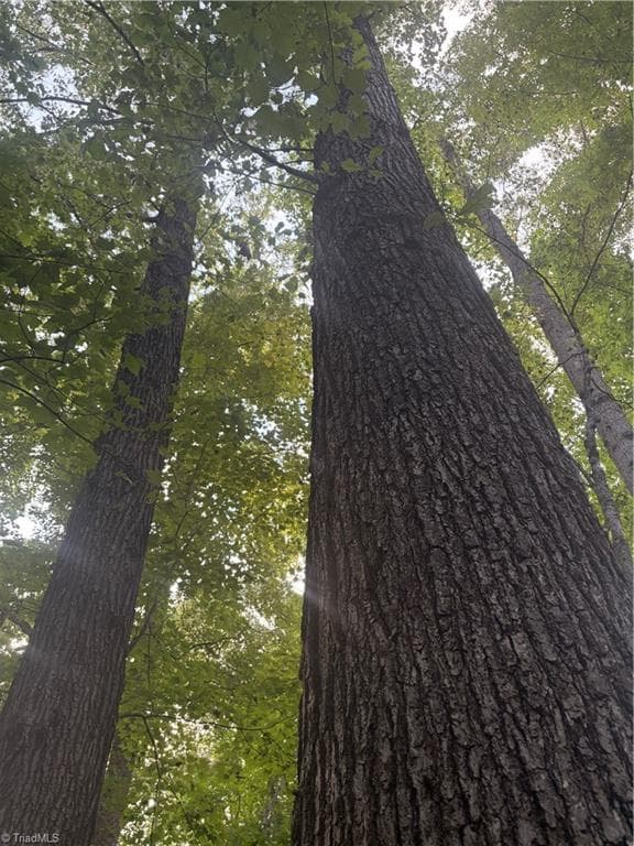 Lot 3 Edgewood Road, Wilkesboro NC 28697