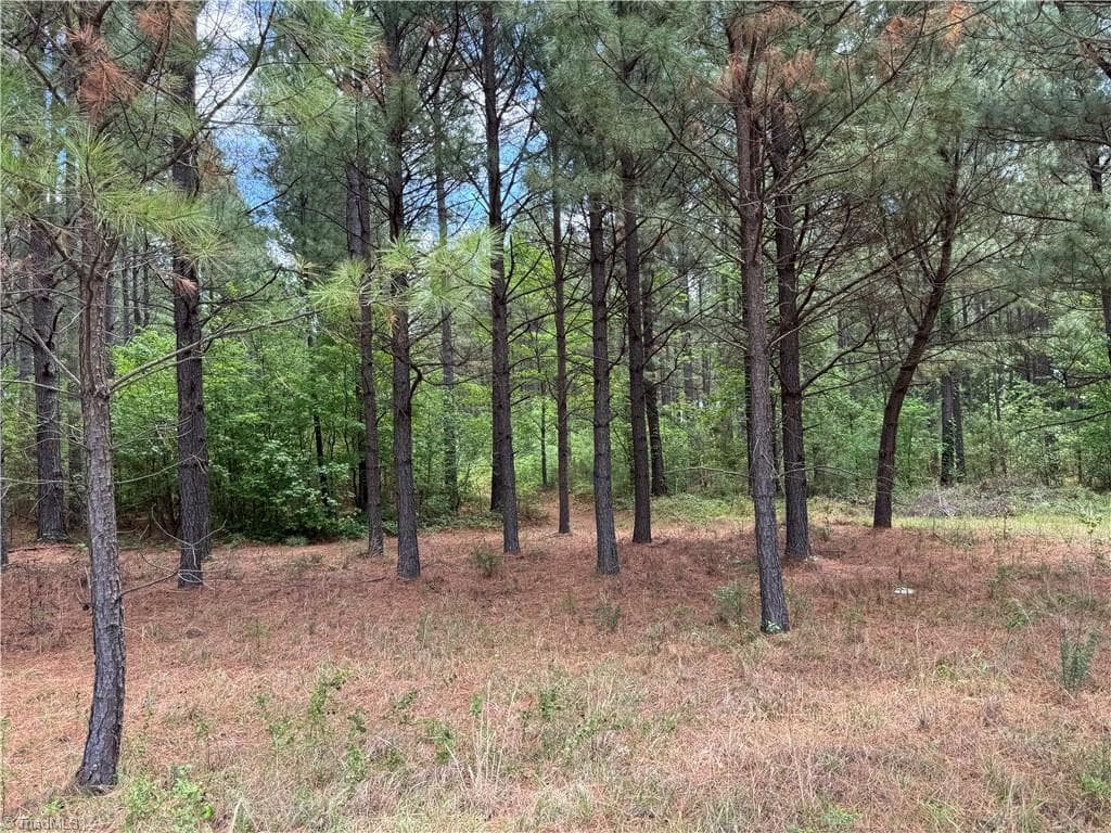 18.5 acres Sherron Rd. - tree farm - 1215 Sherron Road, Durham NC 27703, Durham