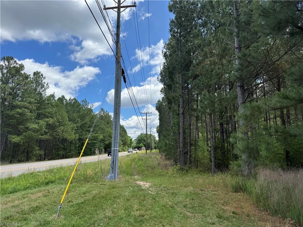 18.5 acres Sherron Rd. - view along Sherron Rd. - 1215 Sherron Road, Durham NC 27703, Durham