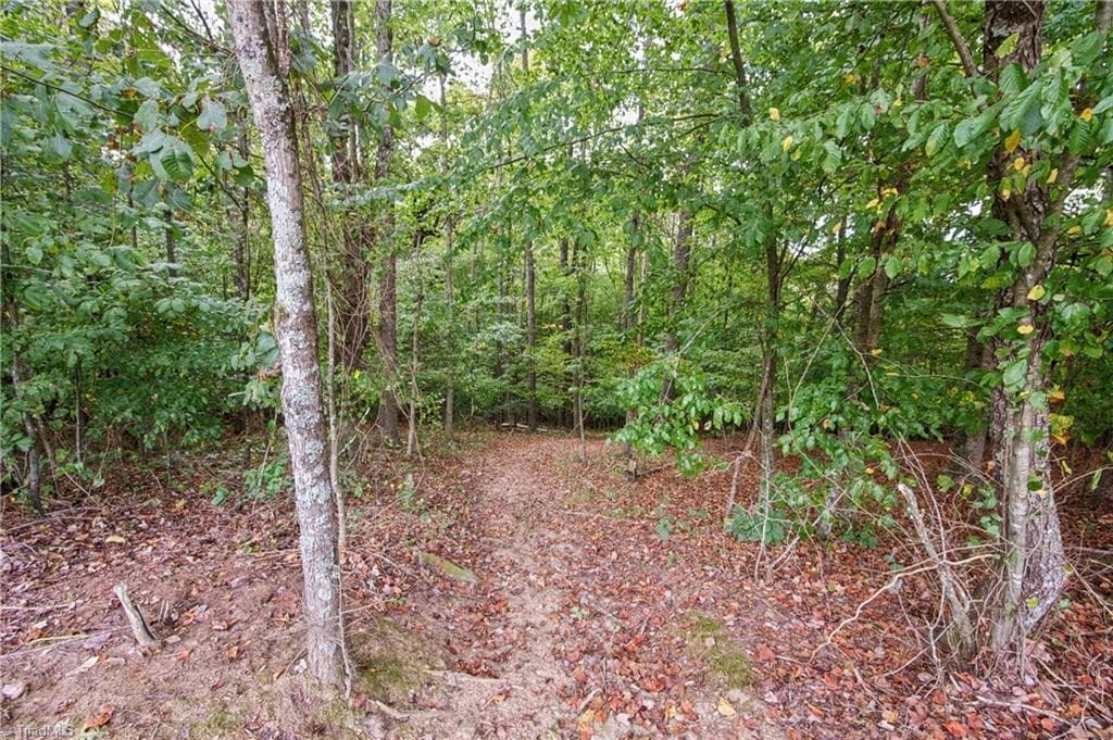 Single Family Residence at 01 Bovendertown Road, Yadkinville NC 27055, Yadkinville, photo 9 of 26